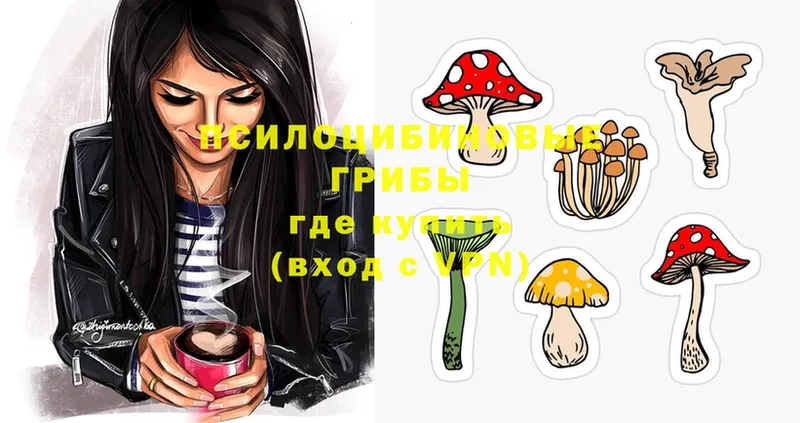 Галлюциногенные грибы MAGIC MUSHROOMS  Глазов 